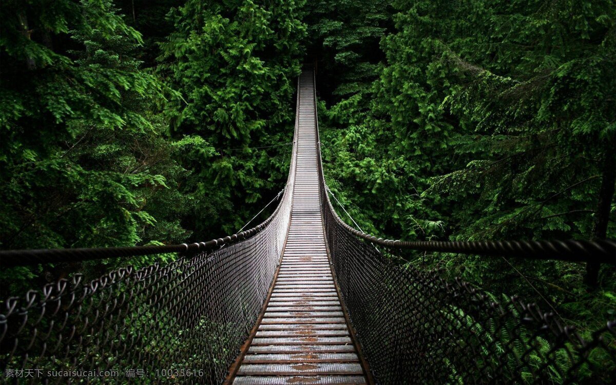 希望之桥 美景 桥梁 希望之光 自然风景 自然景观
