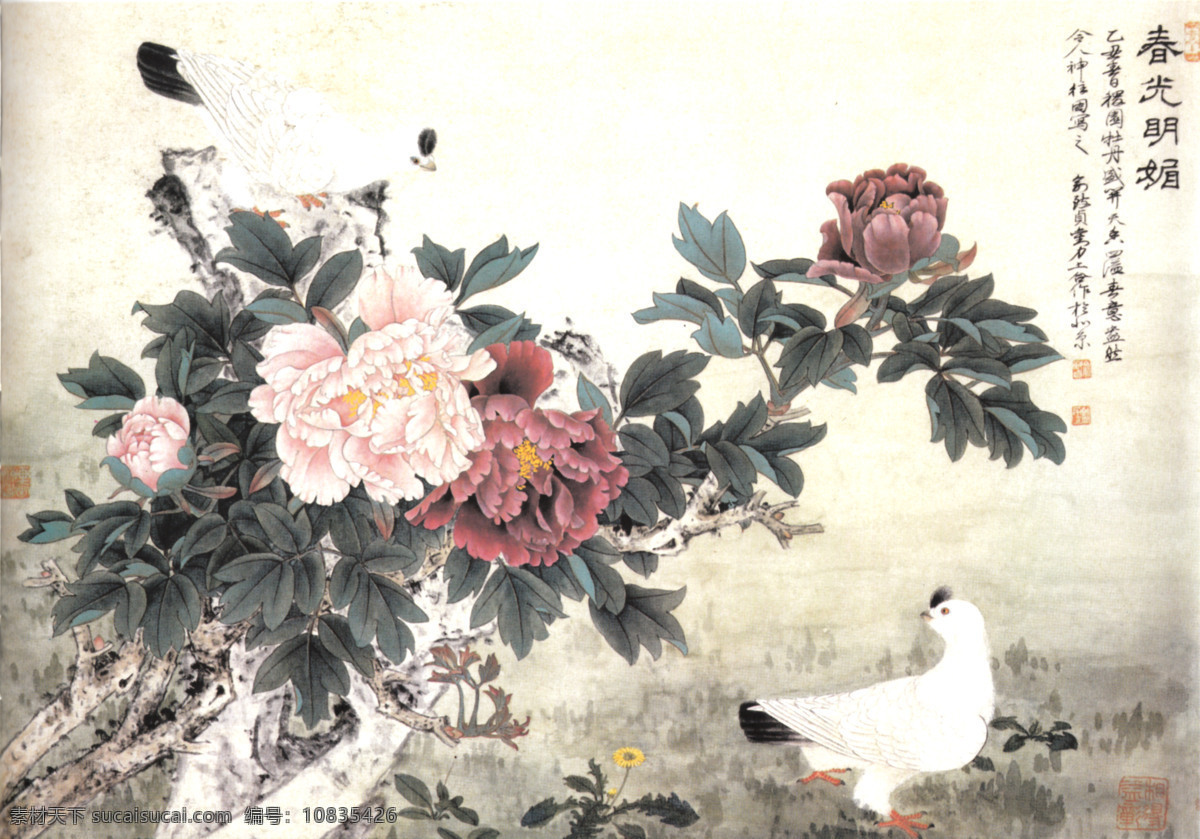 鸽子 花卉图片 名画 中国画 水墨画 国画 装饰画 中堂画 壁画 绘画艺术 书画艺术 书画文字 文化艺术