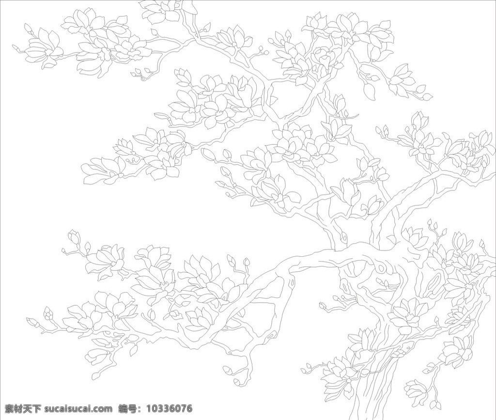 玉兰花 矢量 矢量图 cdr格式 线稿 线条 黑色 玻雕 艺术玻璃 屏风 花 叶 树 室内设计 建筑家居