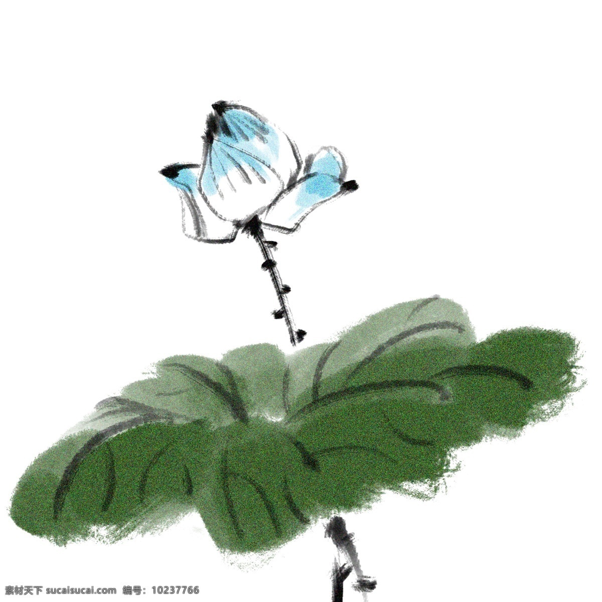 蓝色 水墨 荷花 插画 蓝色的荷花 卡通插画 水墨插画 水墨植物 植物插画 花朵插画 绿色的荷叶