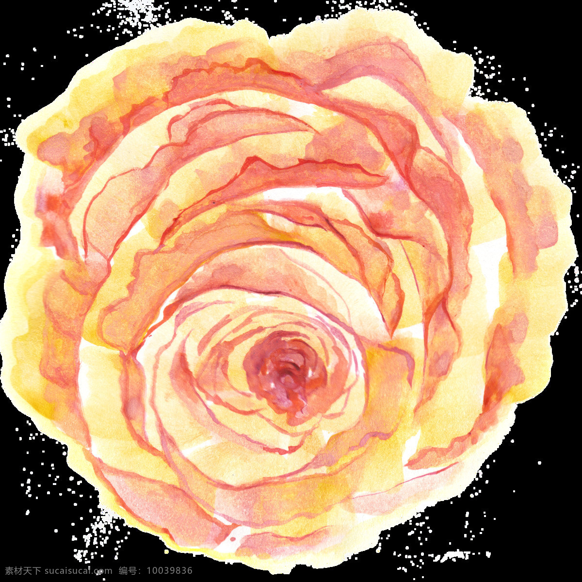 卷 芯 黄花 透明 装饰 花朵 黄色 免扣素材 透明素材 装饰图案