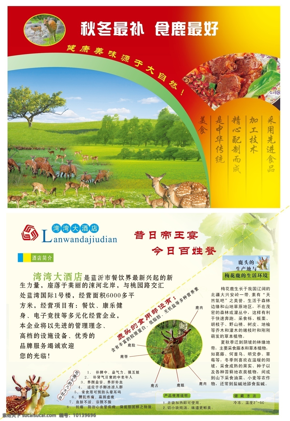 鹿肉宣传单 鹿肉 鹿 鹿肉的营养 鹿肉的功效 草地 dm宣传单 广告设计模板 源文件