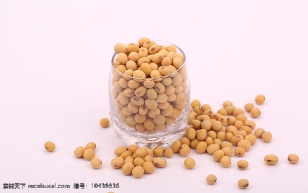 五谷杂粮 系列 黄豆 图 五谷 杂粮 豆浆 豆子 黄色豆子 毛豆 豆粒 黄豆粒 高清 微距 棚拍 豆腐 豆制品 餐饮美食 食物原料