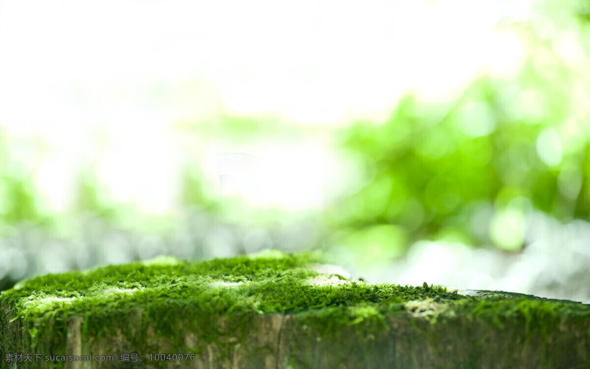 清新 绿色 草坪 banner 背景 抽象 梦幻 绿色草坪 叶子