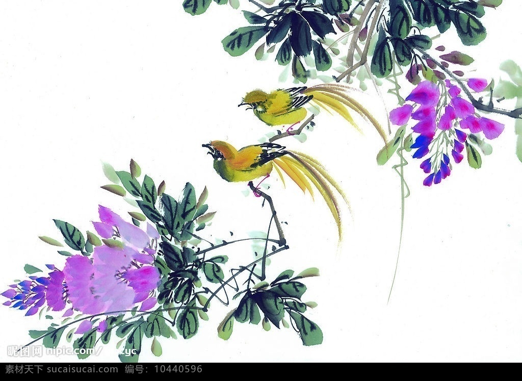 中国国画 花鸟 花 鸟 动物 水墨画 国画 中国画 绘画 艺术 文化艺术 绘画书法 设计图库