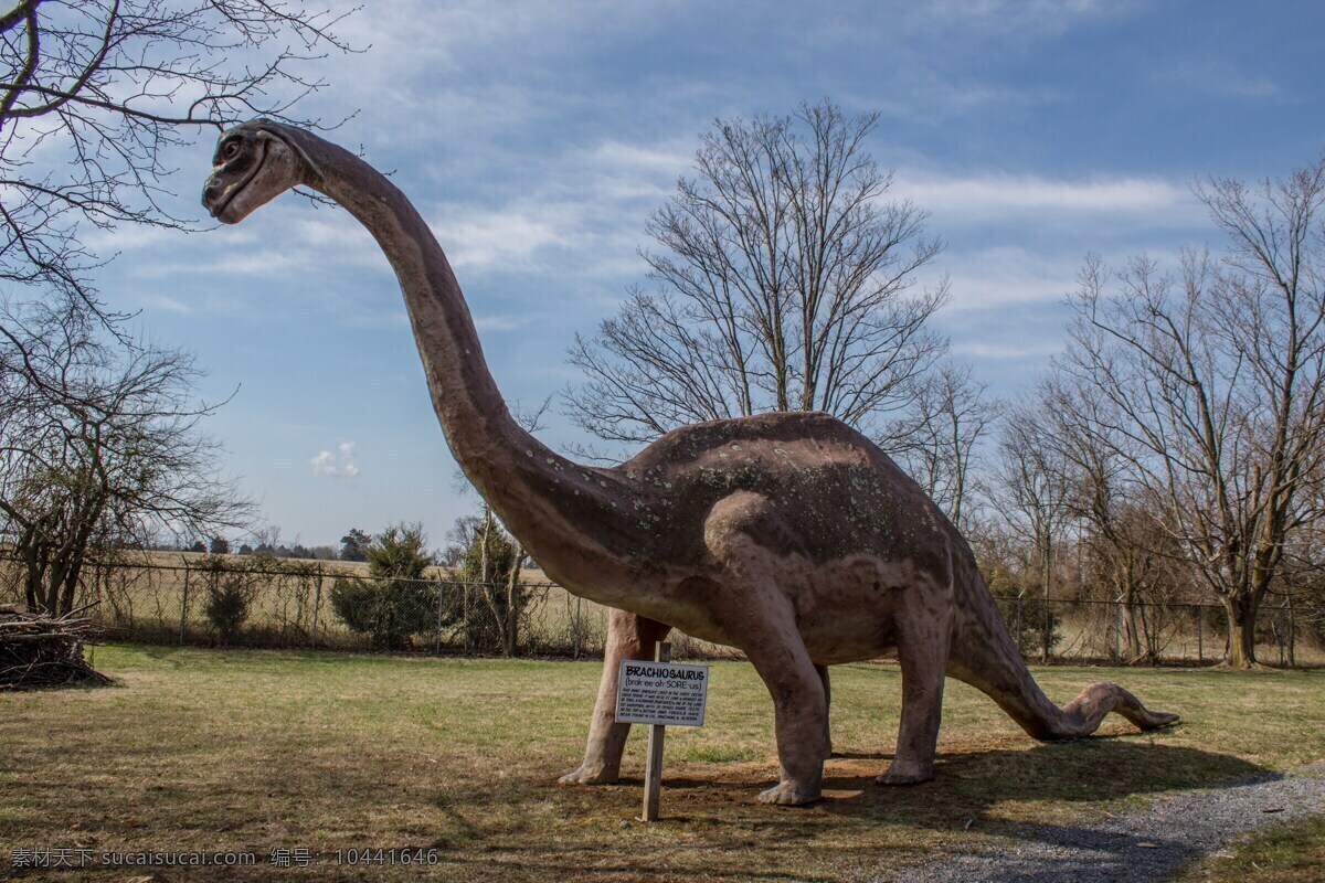 恐龙雕塑 恐龙雕像 公园雕塑 公园布景 恐龙模型 建筑园林 雕塑
