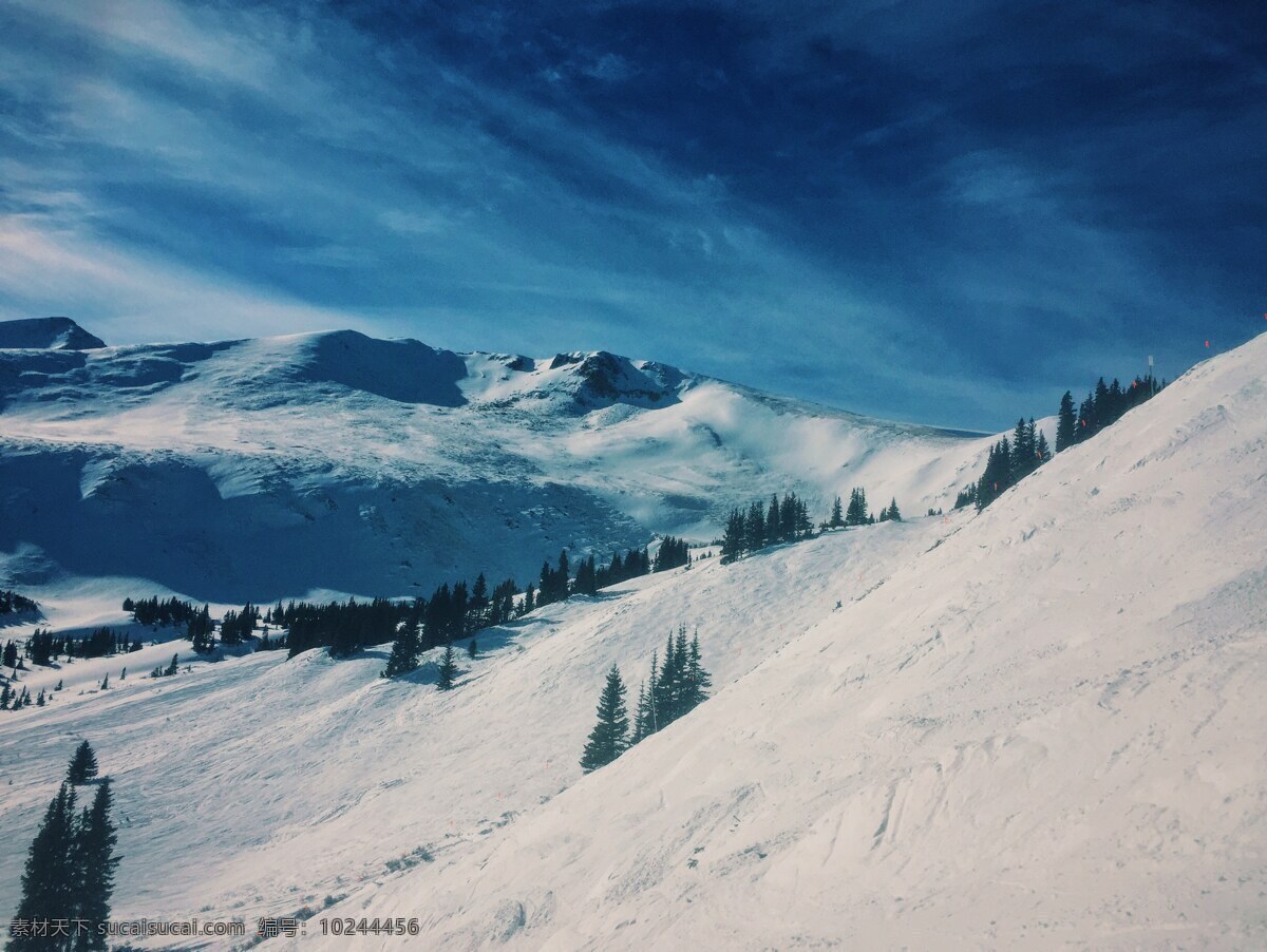 雪山 树 天空 晴朗 白色 自然景观 自然风景