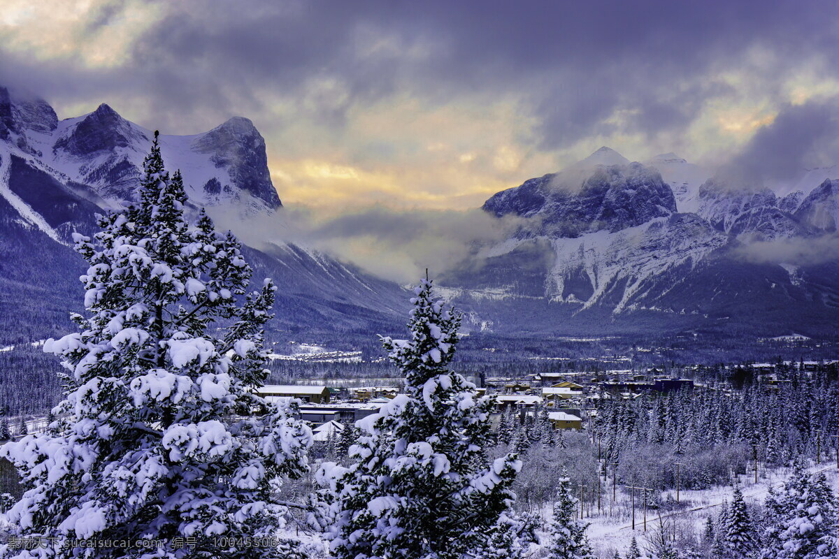 加拿大山村 加拿大 雪景 山村 松树 阳光 自然景观 自然风景