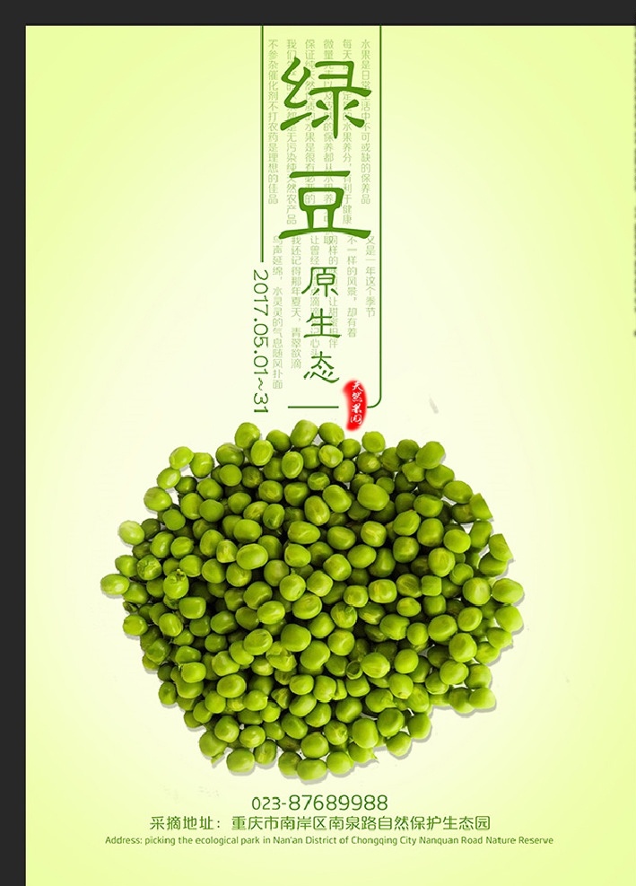 绿豆 豆子 豌豆 青豆 豆 绿色食品广告 浅绿色底图 门店广告