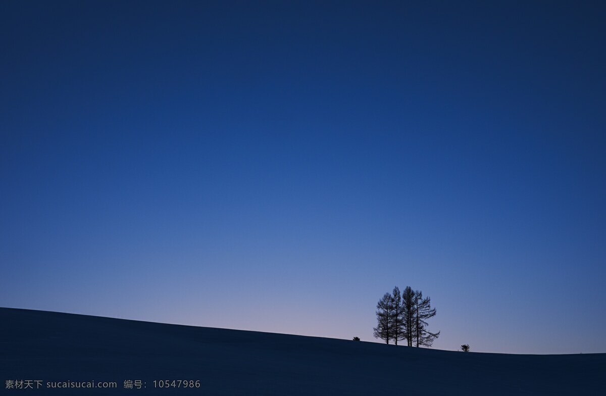 黄昏 天空 下 树 傍晚 树木 天际线 自然景观 自然风景