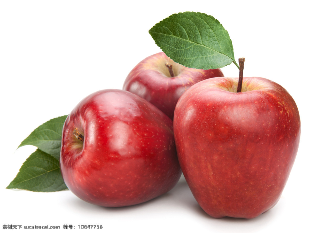红苹果 苹果 新鲜苹果 新鲜水果 苹果摄影 苹果图片 餐饮美食