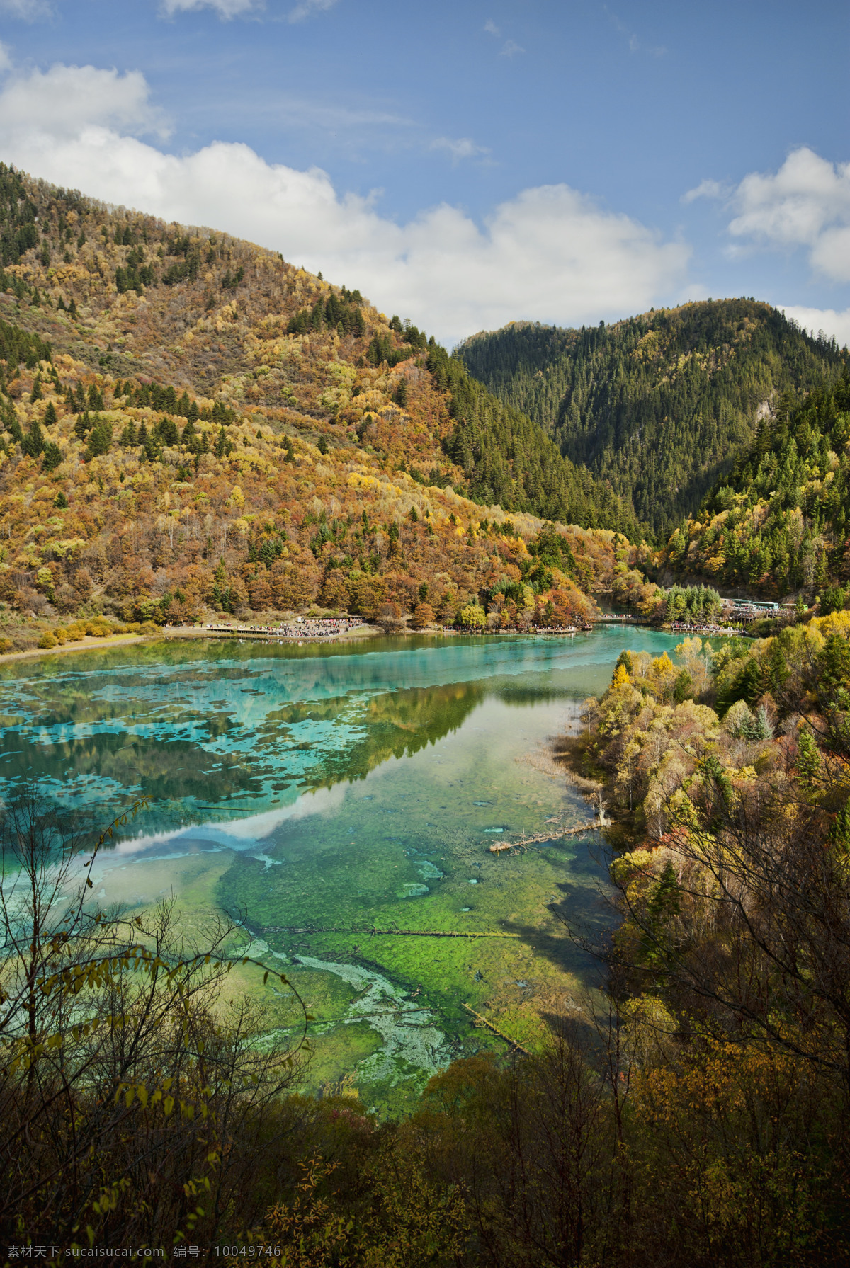 九寨沟 风景区 自然 旅游 泉水 清新 自然景观 风景名胜