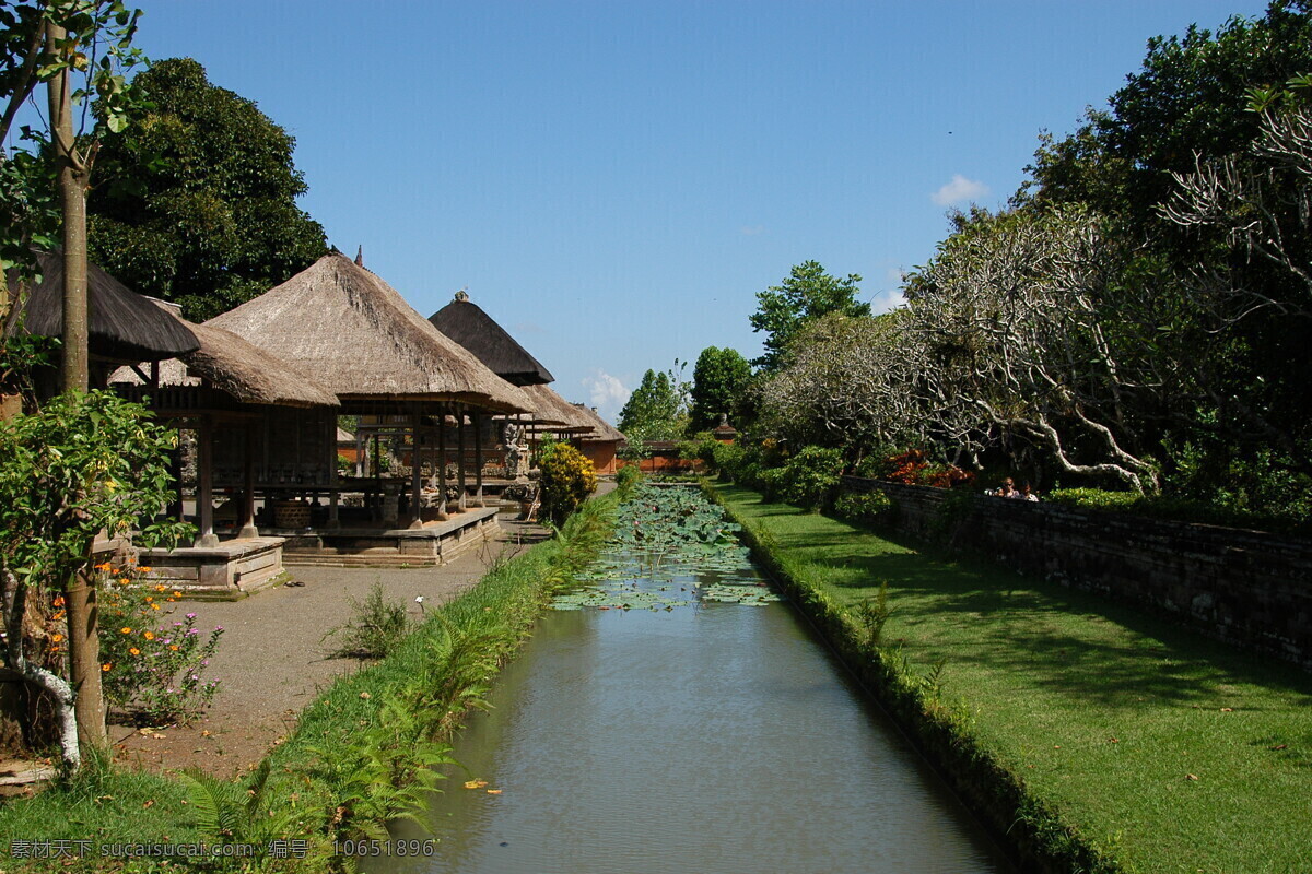 印尼 旅游景点 图 国外旅游 热带雨林 热带植物 热带风情