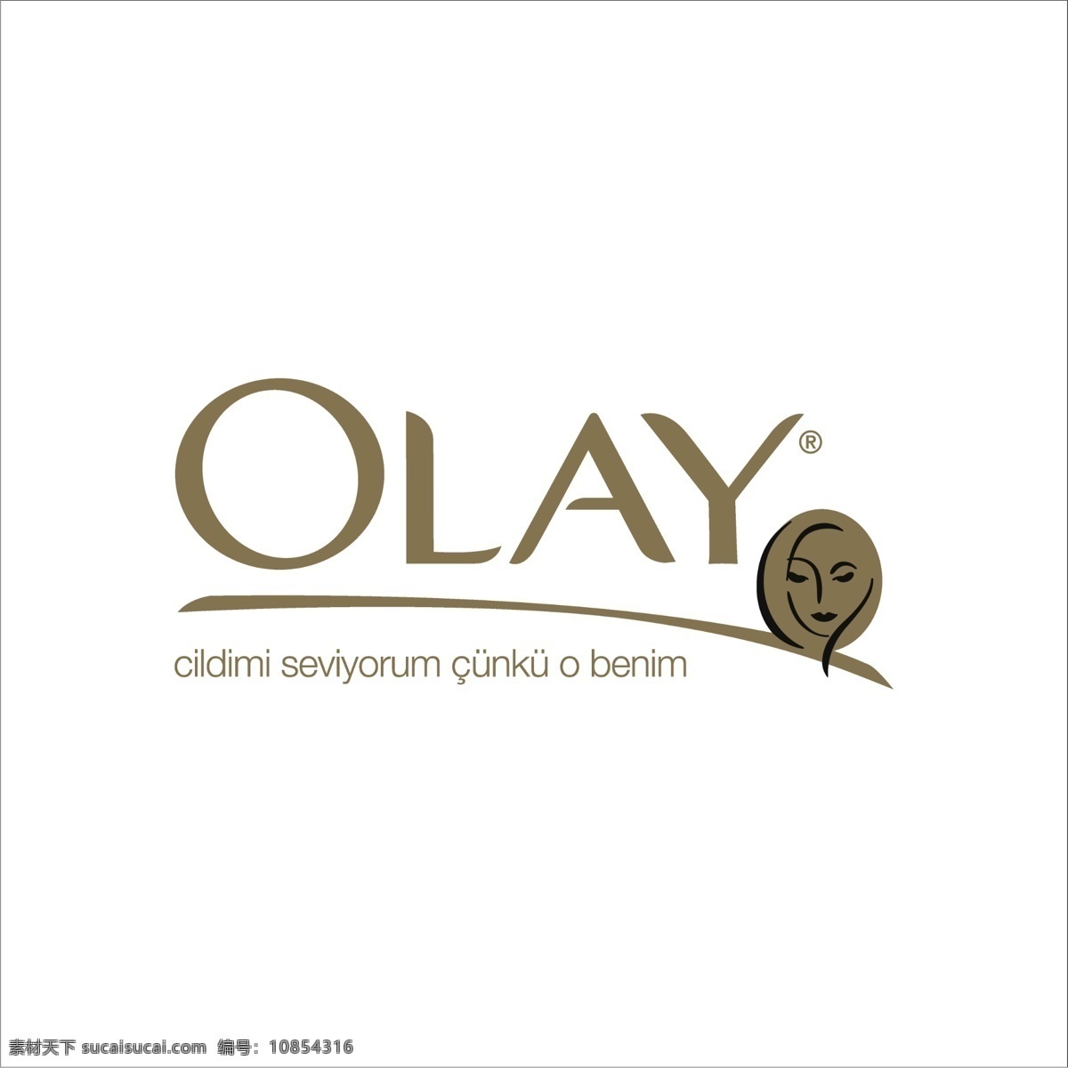 logo olay 矢量 标志 olay标志 品牌 化妆品 性感 著名 女人 最爱 矢量图 其他矢量图