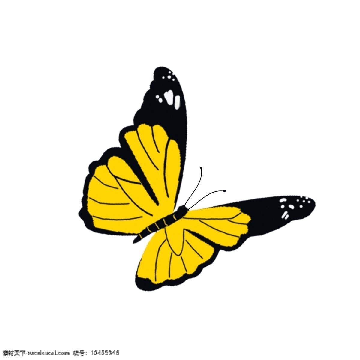 只 黄色 飞舞 蝴蝶 卡通 元素 动物 昆虫