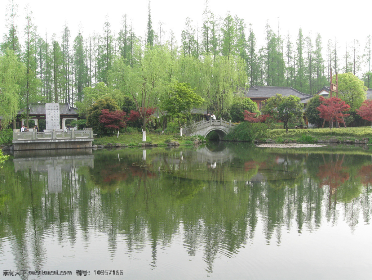 西湖 风光 大树 杭州 湖 绿色植物 树 树木 水中倒影 西湖风光 水 杭州西湖 风景 图 生活 旅游餐饮