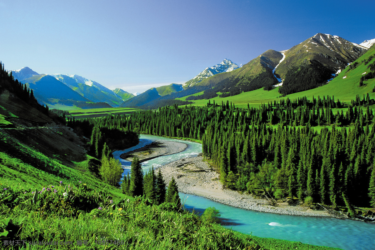 喀纳斯 新疆喀纳斯 喀纳斯风景 国内旅游 旅游摄影