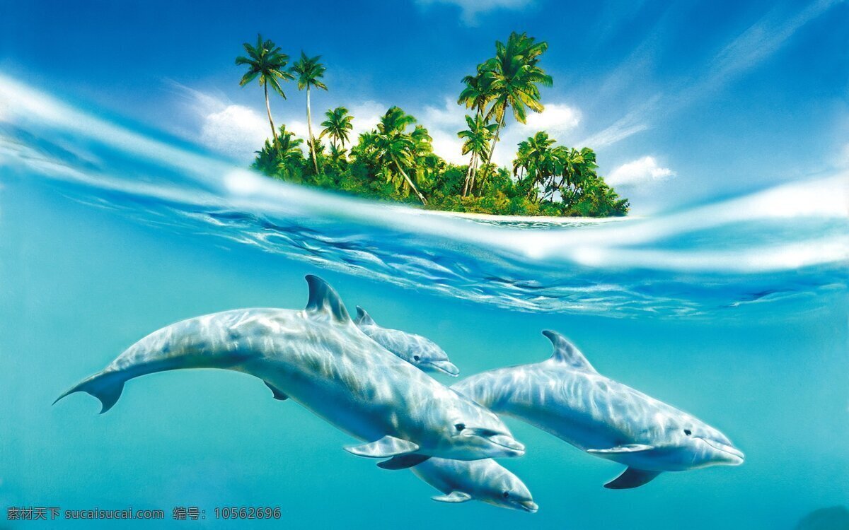 海豚 海洋 海岛 波纹 蓝天 野生动物 生物世界