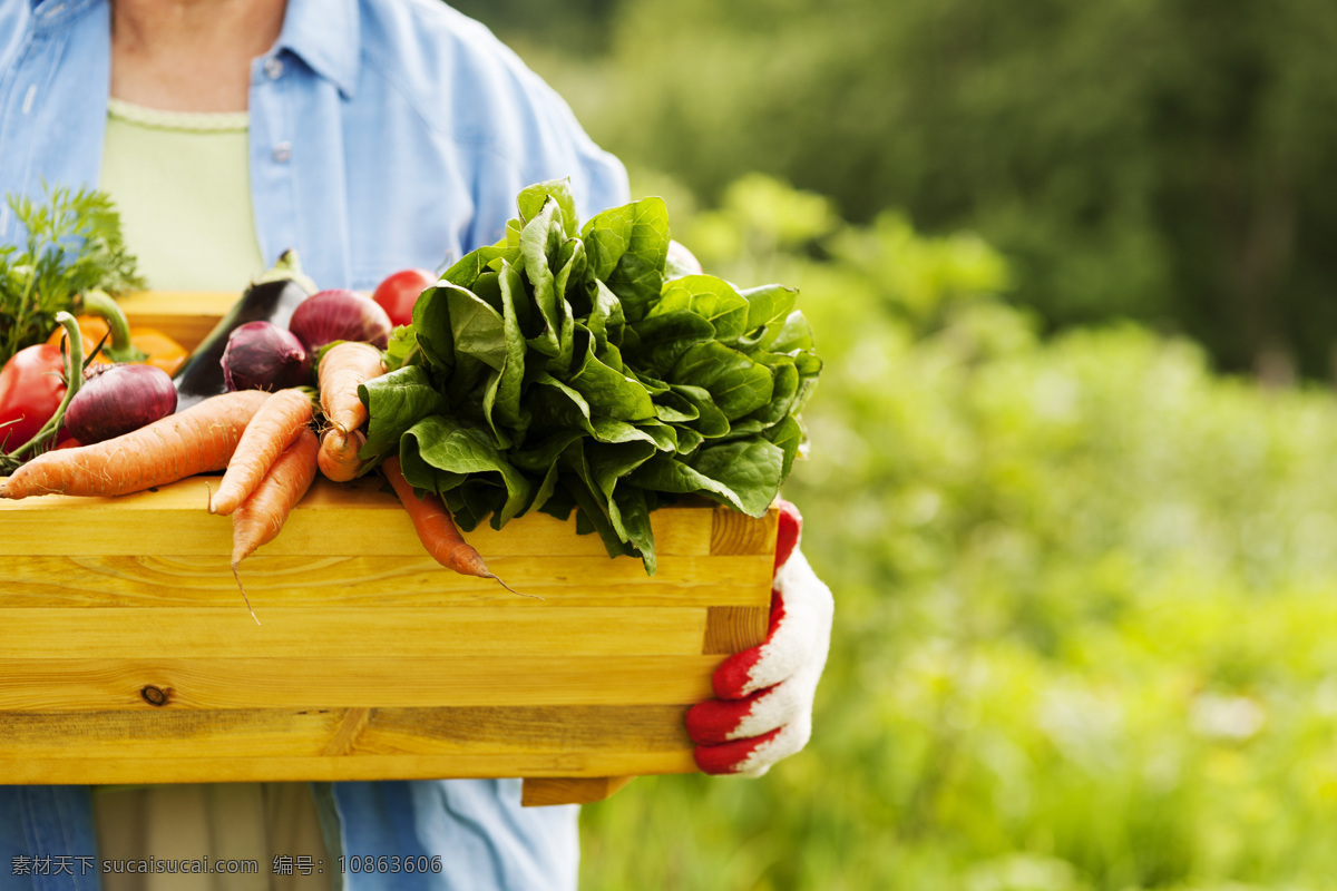 捧 木盒 蔬菜 农夫 手套 收获 农产品 其他类别 生活百科