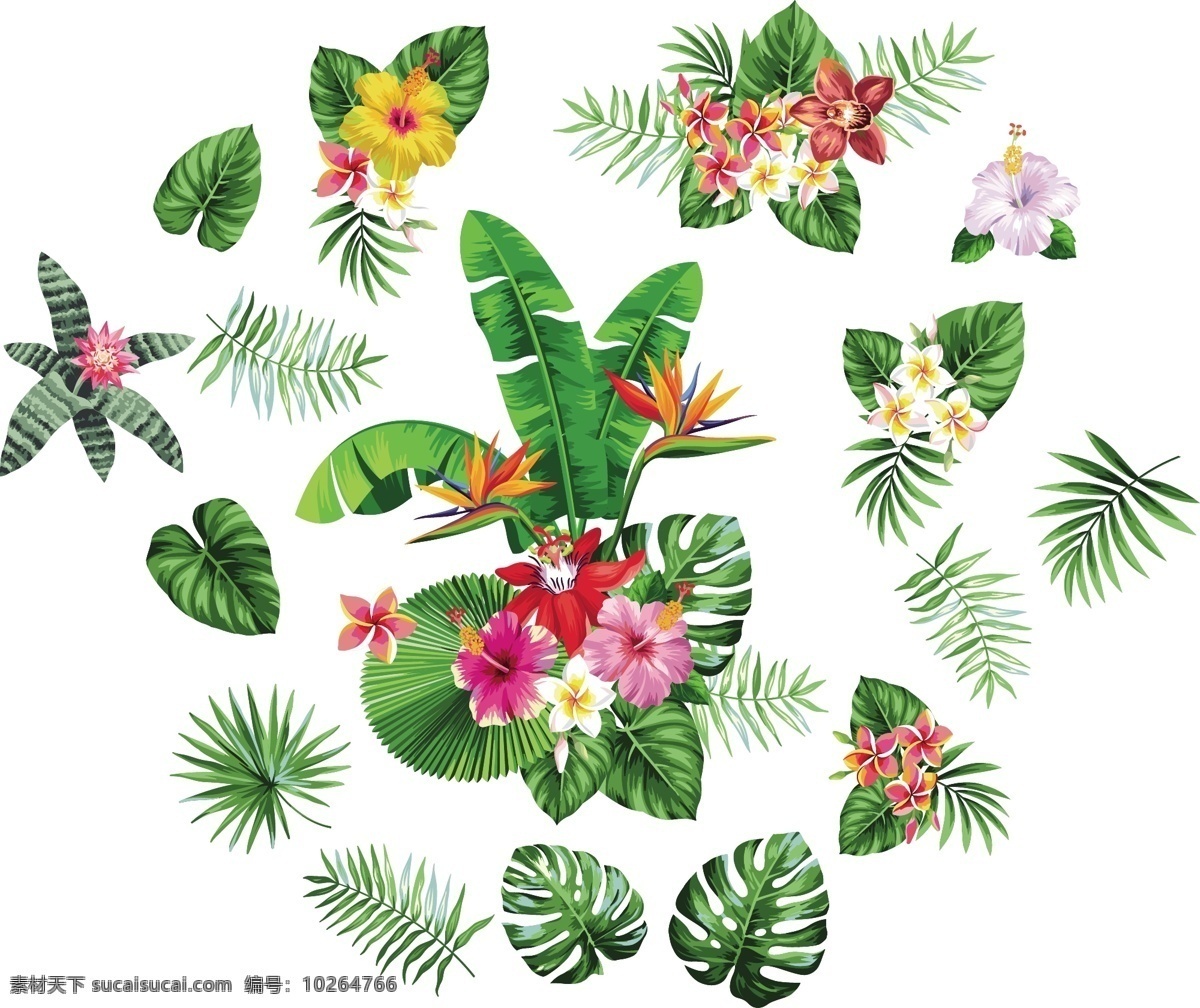 热带叶子 热带 叶子 热带风情 棕叶 棕榈叶 热带花 花草素材 文化艺术 绘画书法