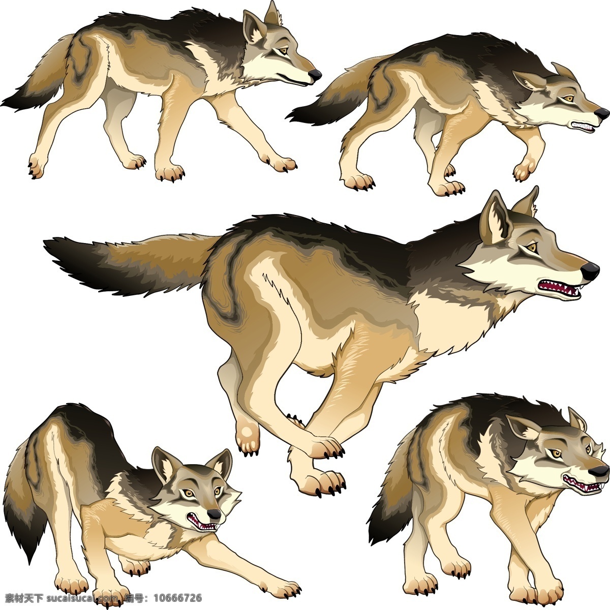 狗 野生动物 野狼 动物 卡通动物 设计素材 手绘动物 野狗 儿童插画 背景图片 生物世界