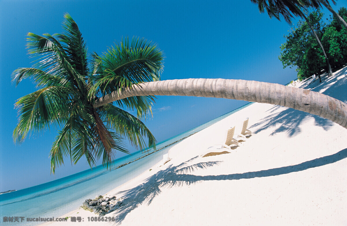 海滩 上 高清 jpg图库 jpg图片 高清图片素材 摄影图片 蔚蓝天空 水 海 海水 椰树 休闲椅 海洋海边 自然景观 白色