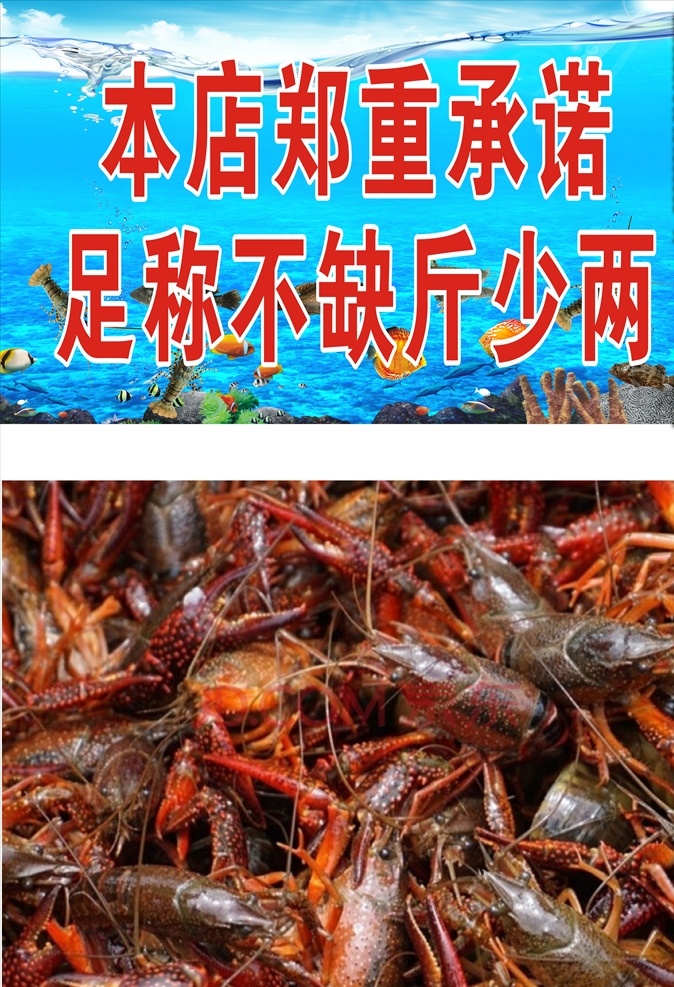 水产 虾 鱼类 海报 海鲜