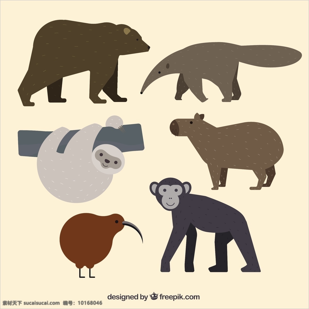 手绘森林动物 一方面 自然 动物 手绘 平坦 森林 猴子 可爱的熊 平面设计 可爱的动物 画 猕猴桃 懒惰 食蚁兽 白色