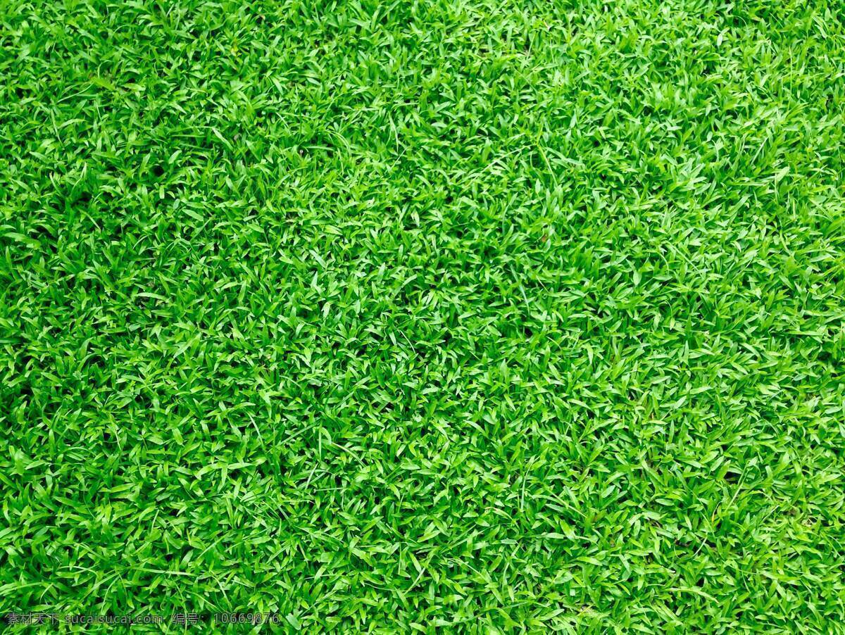草地 草坪 草皮 绿色 假草 塑料草 人造草 绿草坪 体育场 假草坪 塑料草坪 人工草坪 人工草皮 人造草坪 仿真草坪 自然景观 自然风景