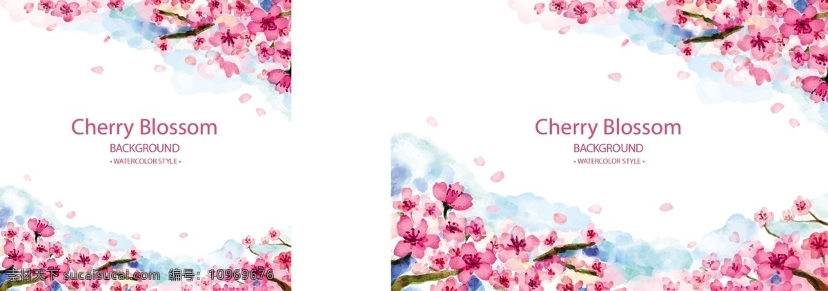 水彩画 樱花 美丽 背景 装饰 叶子 植物 春天 水彩花卉 粉色
