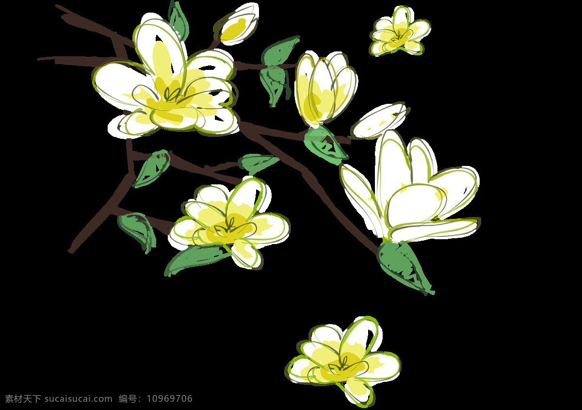 春天 手绘 花朵 元素 手绘花朵 春天花朵 黄色玉兰花 玉兰花元素 透明元素 png元素 免抠元素