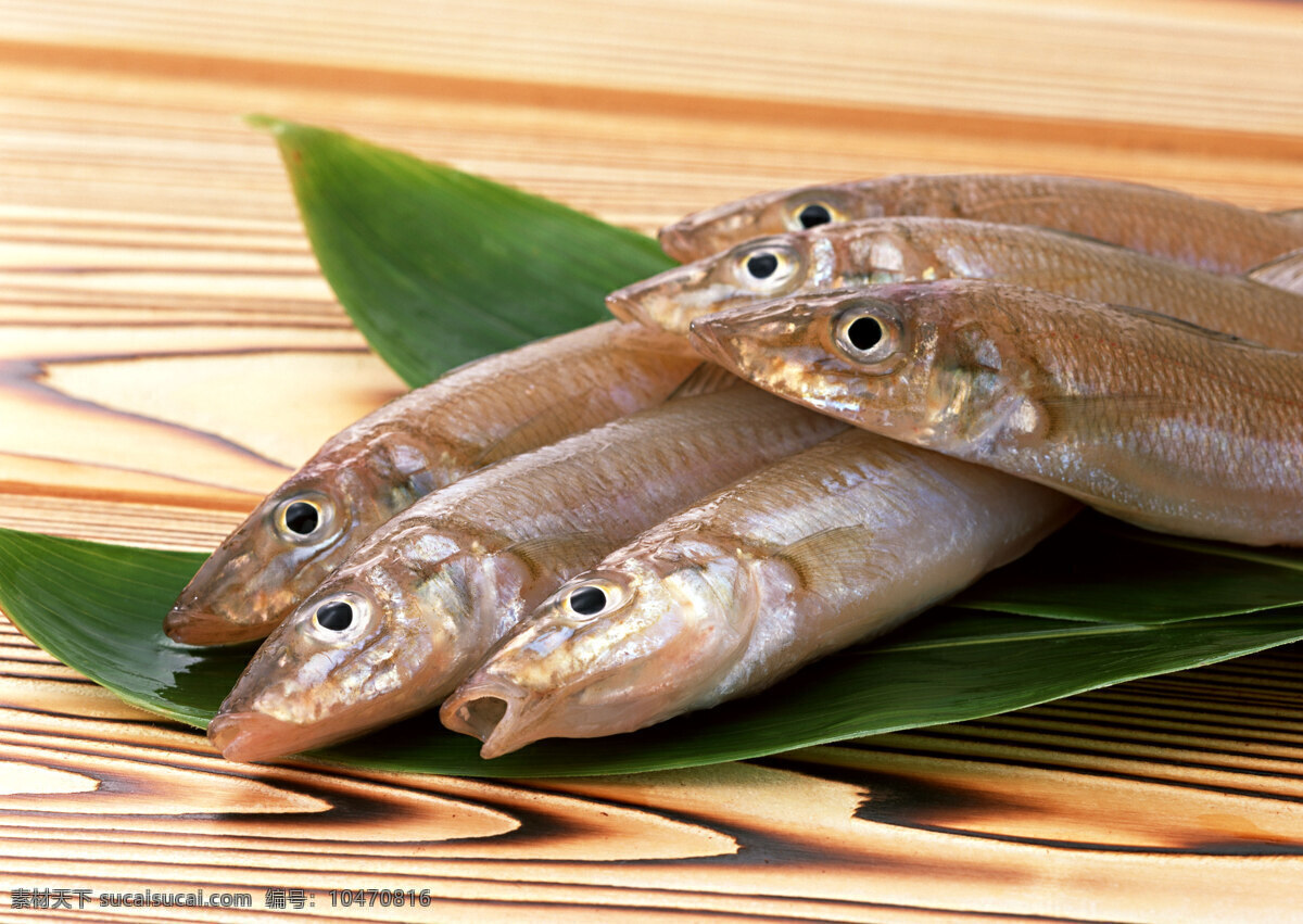 海鲜 游水海鲜 海鱼 鱼类 海鲜食材 海洋生物 新鲜海鲜 海鲜素材 海洋资源 食物原料 餐饮美食 摄影图库 摄影图片 高清图片 螃蟹 生物世界