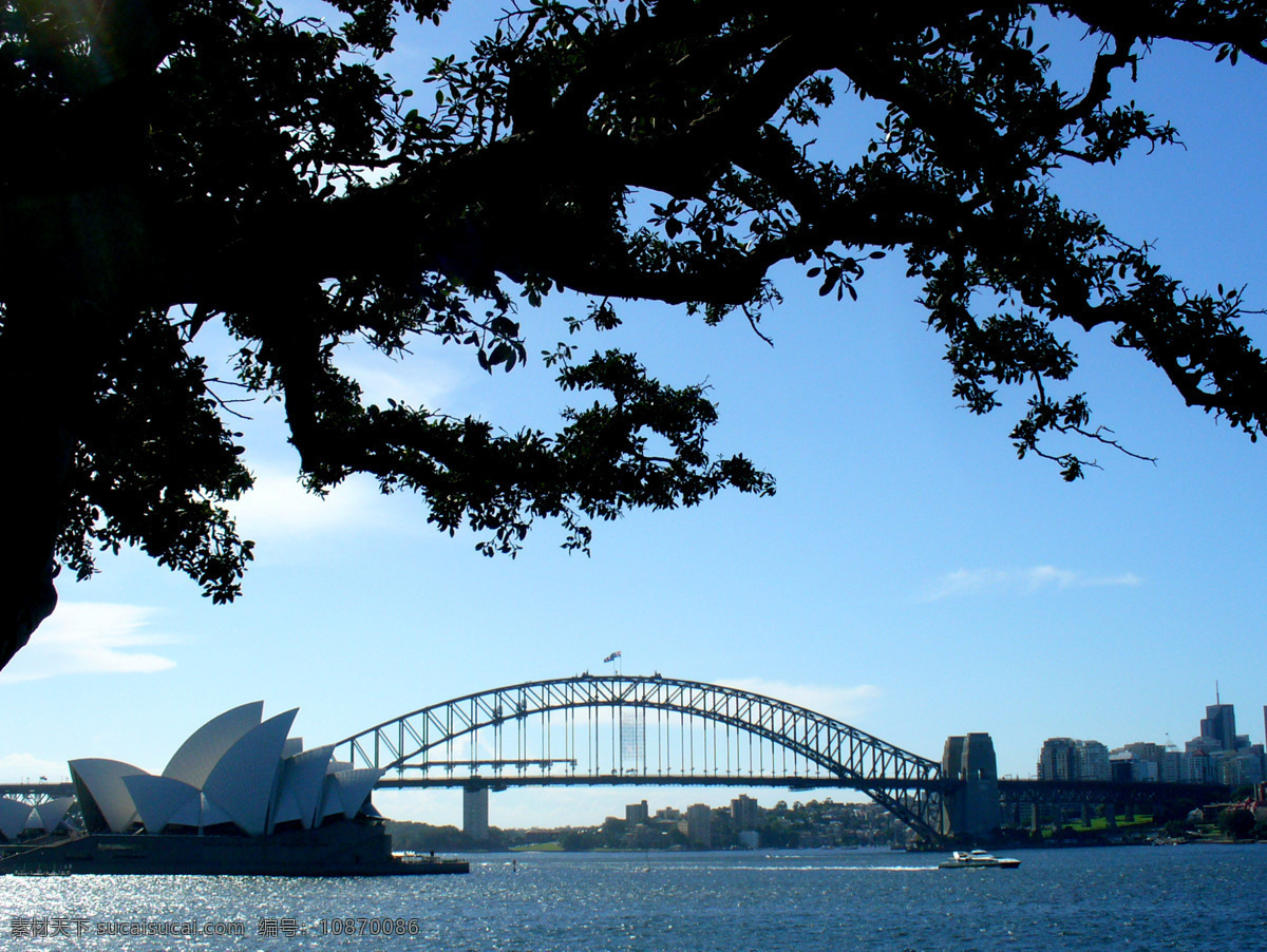 海景 白云 标志建筑 风光摄影 国外旅游 海港 海水 景 蓝天 悉尼歌剧院 悉尼大桥 旅游摄影 树荫 对岸建筑 风景 生活 旅游餐饮