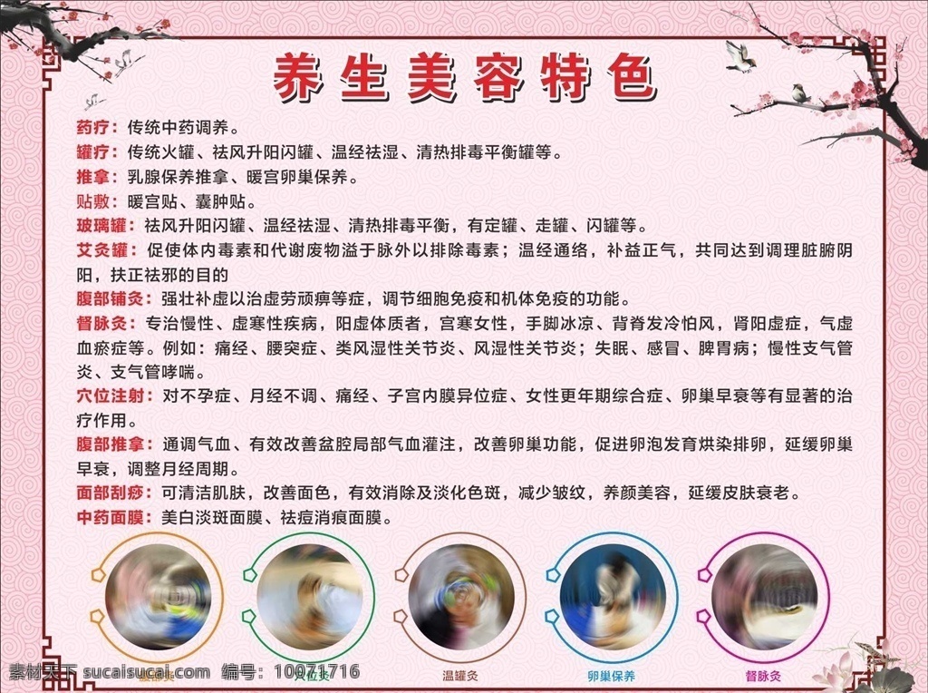 养生美容特色 养生美容 养生特色 美容特色 养生项目 养生目录
