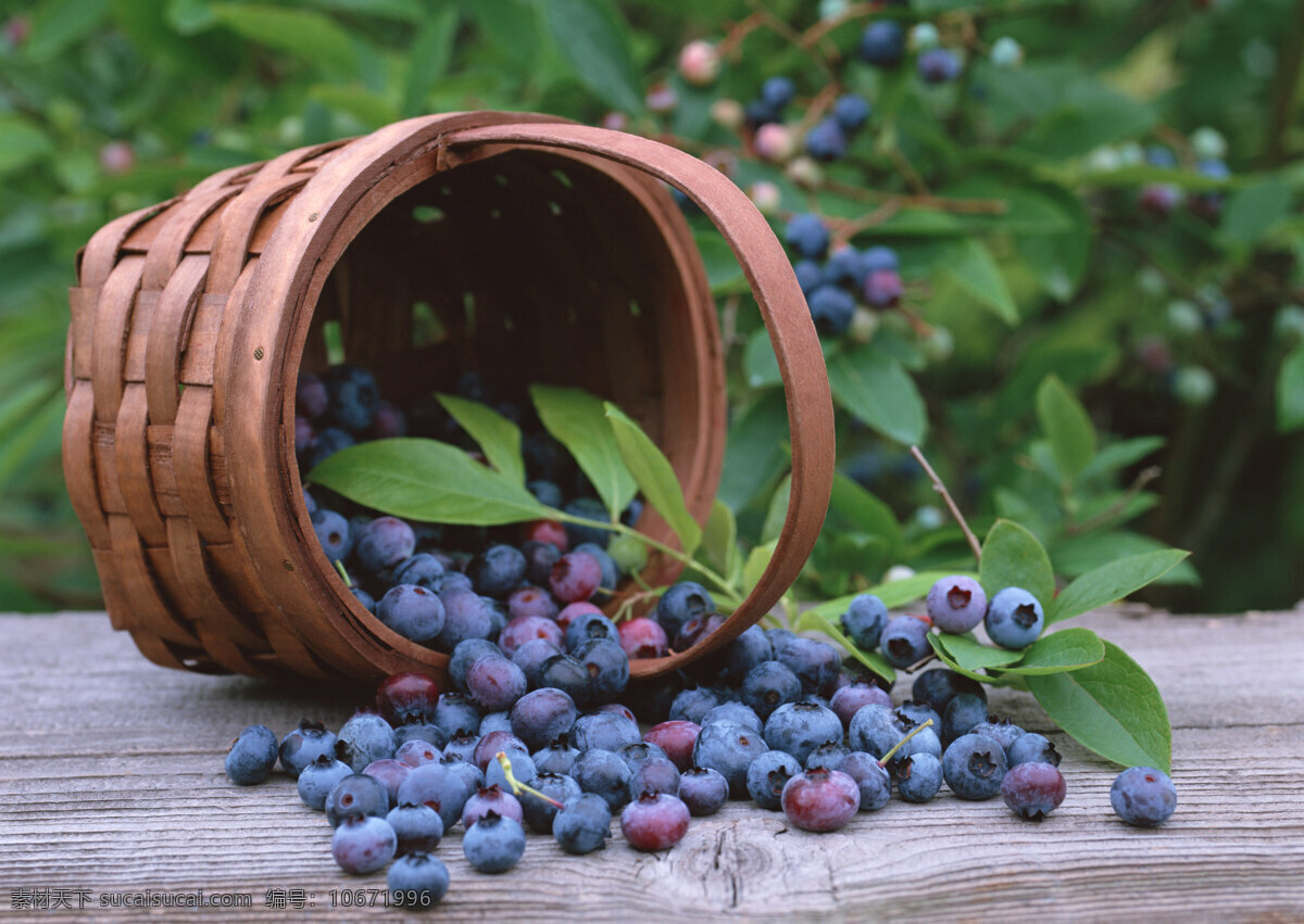 蓝莓 水果篮 蓝梅 草莓 树莓 树叶 木纹 篮子 水果 果子 果汁 生物世界 摄影图片 水果图片 水果素材 绿色 健康水果 餐饮美食