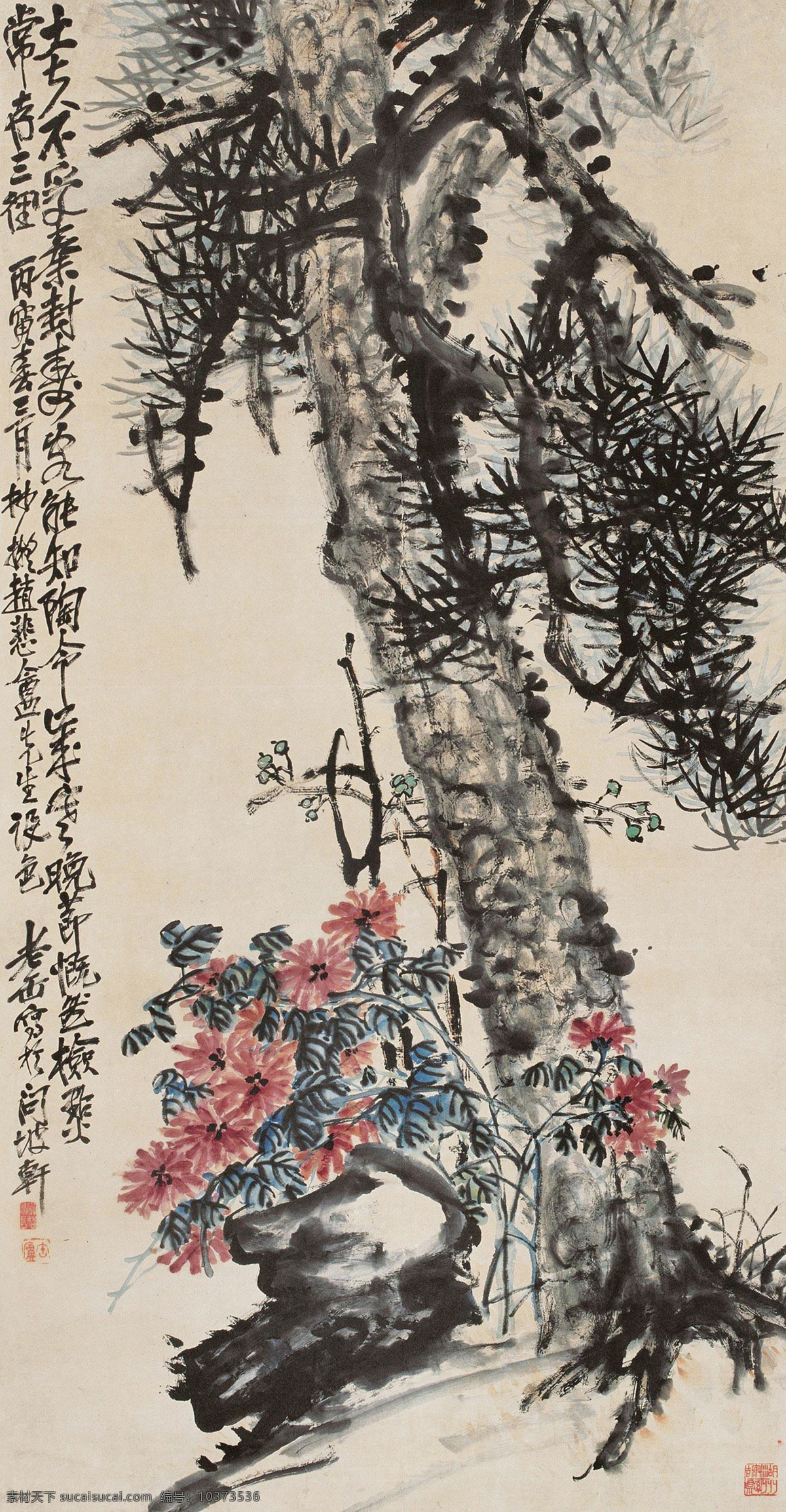 松菊 吴昌硕 国画 松 松树 菊花 写意 水墨画 中国画 绘画书法 文化艺术 国画吴昌硕