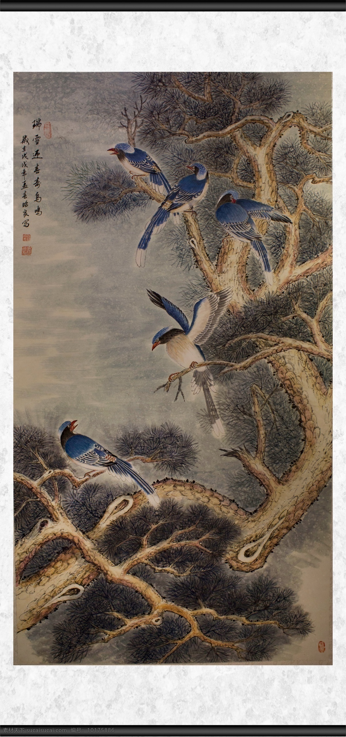 鸟鸣 植物 观赏 鸟儿 动物 绘画 插画 文化艺术 传统文化