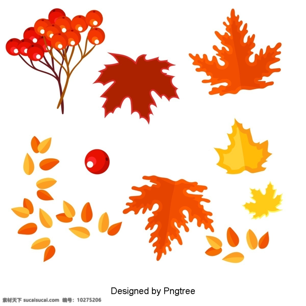 简单 手绘 秋季 元素 季节性 绘画 艺术 落叶 可爱 动物 卡通