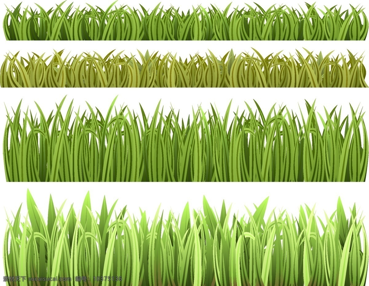 灌木 向量 草 绿色 植物 向量丛 矢量图 日常生活