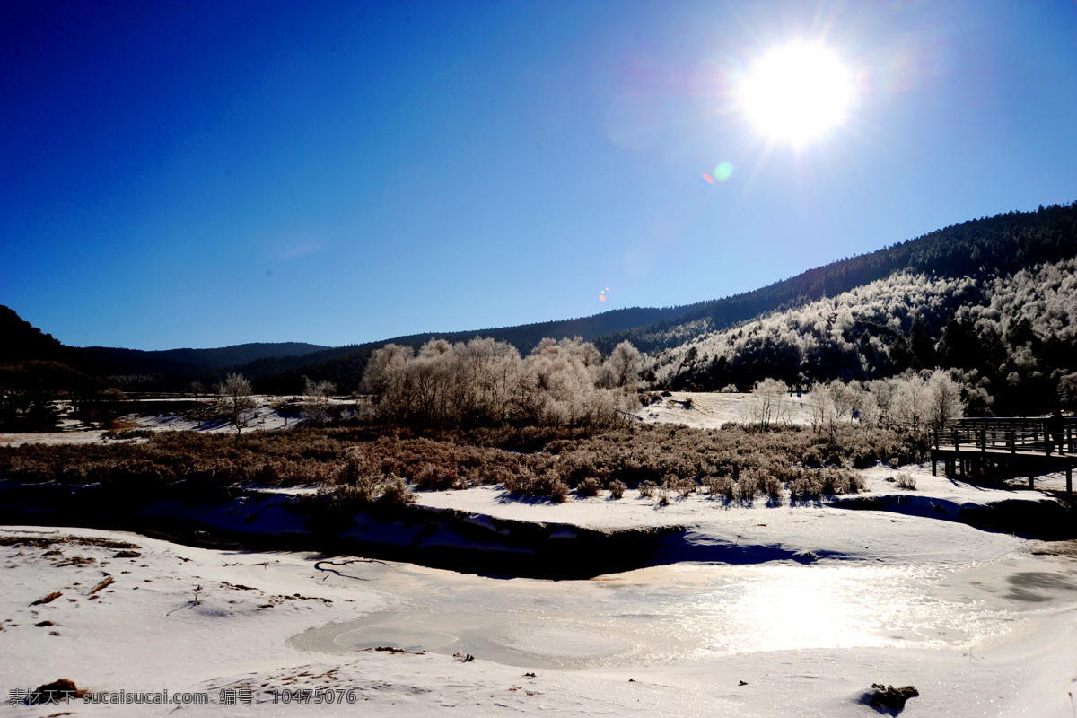 蓝天 阳光 雪地 风景 高清 雪地风景图片 树木 冬天