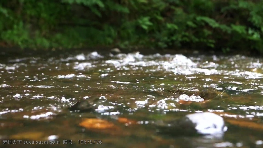 视频背景 实拍视频 视频 视频素材 视频模版 溪水 河流 溪水河流