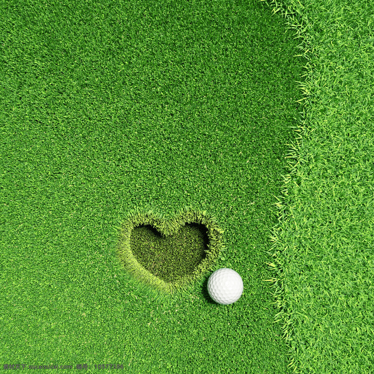 高尔夫球 心形 洞 草地 草坪 运动 健身锻炼 打高尔夫 体育运动 生活百科 绿色