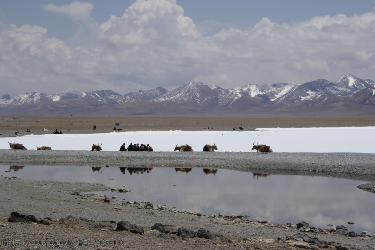 纳木错 湖边 雪山 风景 西藏 天空 自然景观 自然风景