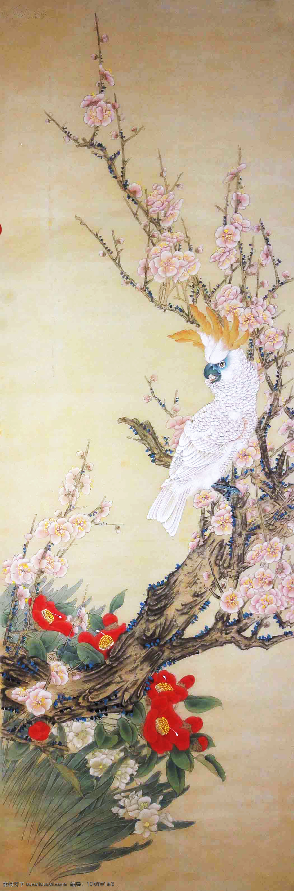 工笔鹦鹉 国画 水墨画 花鸟画 工笔画 中国画 鹦鹉 梅花 艺术绘画 文化艺术 绘画书法