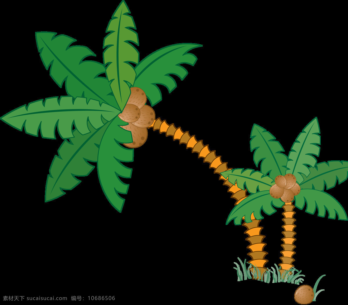棕榈树 热带植物 夏季叶子 叶子 棕桐树 水彩树叶 芭蕉叶 卡通设计
