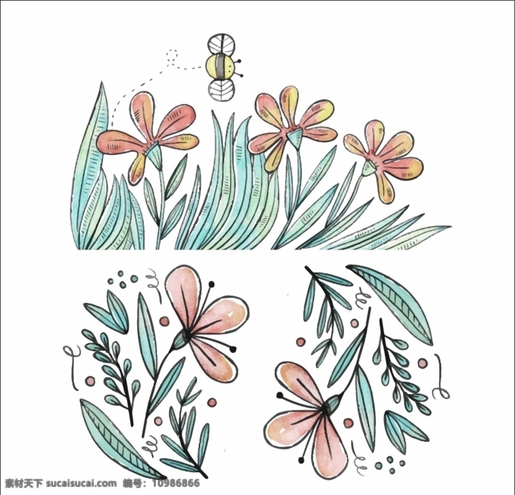 水彩植物素材 水彩植物 图案 花朵 花卉 水彩 插画 生物世界