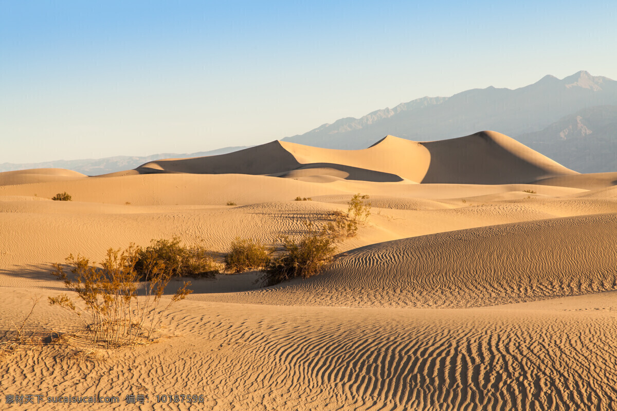 沙漠风光 荒漠 戈壁 沙子 沙粒 黄沙 沙漠 天空 沙漠天空 沙丘 大沙漠 沙漠奇观 流动沙漠 沙漠沙丘 沙漠风景 沙漠旅游 沙漠沙山 戈壁滩 风景 自然景观 自然风景