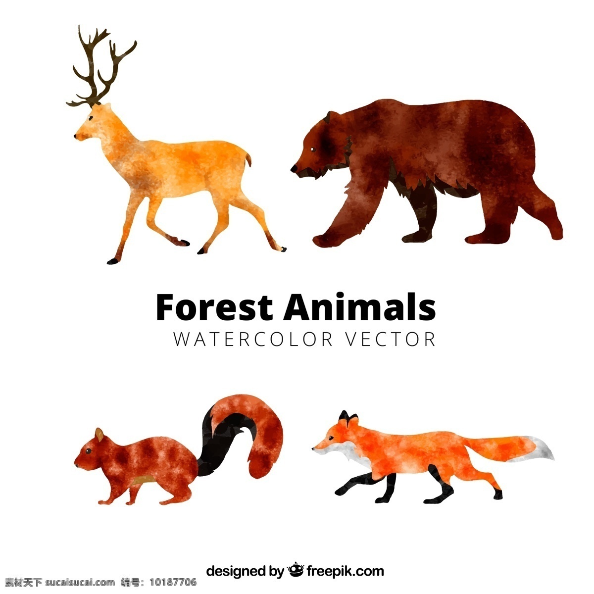 款 水彩 绘 动感 森林 动物 矢量 可爱 手绘 卡通 水彩绘 麋鹿 棕熊 松鼠 狐狸