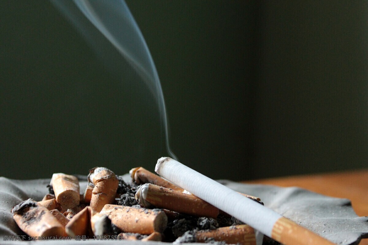 香烟 烟草 尼古丁 烤烟 吸烟有害健康 生活百科