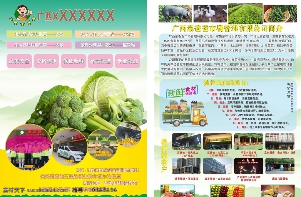 蔬菜配送 蔬菜 食材配送 配送 菜 绿色背景 简单背景 dm宣传单